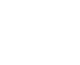 Virtus Pet